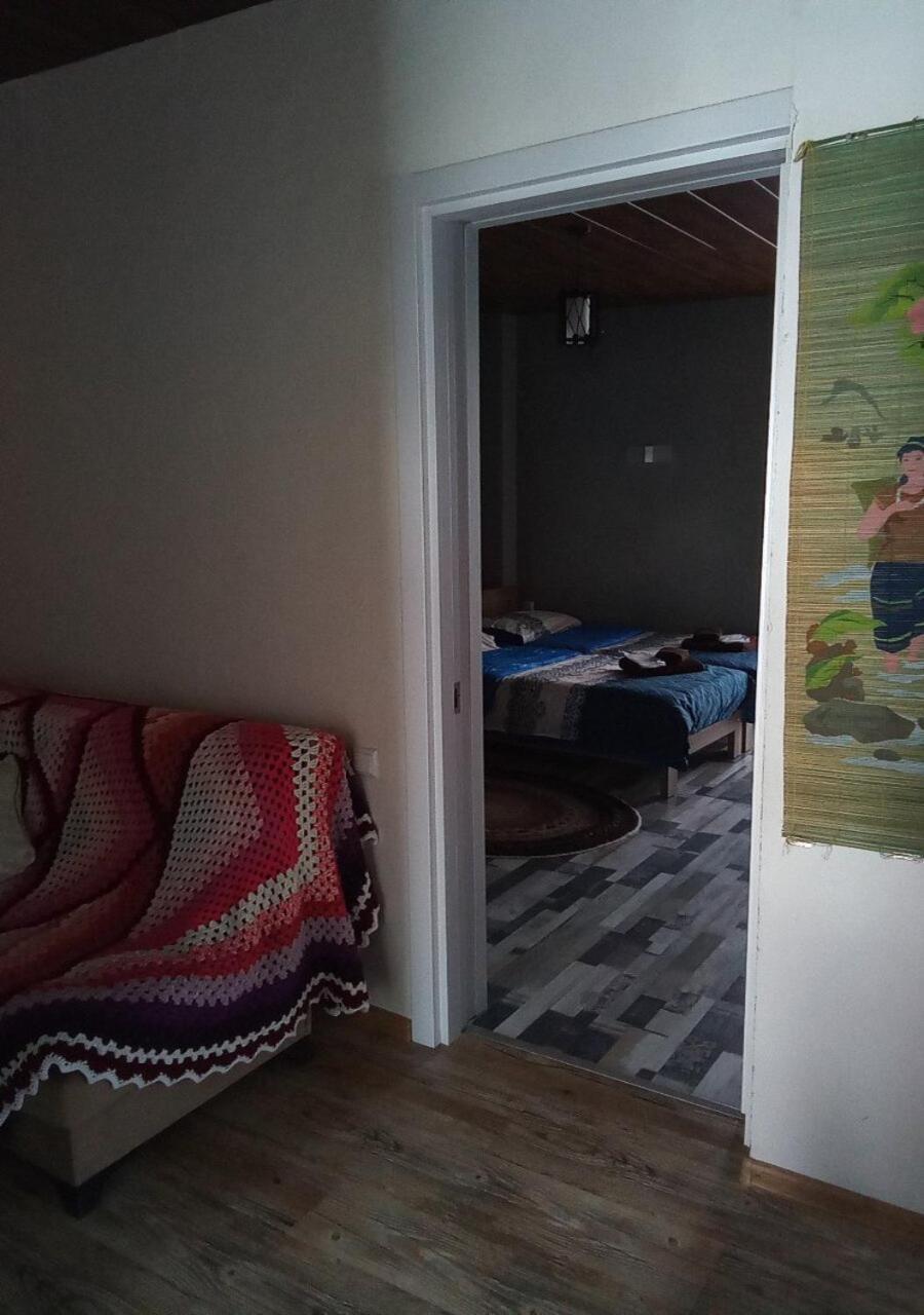 Mountain Dream House Apartman Gudauri Kültér fotó
