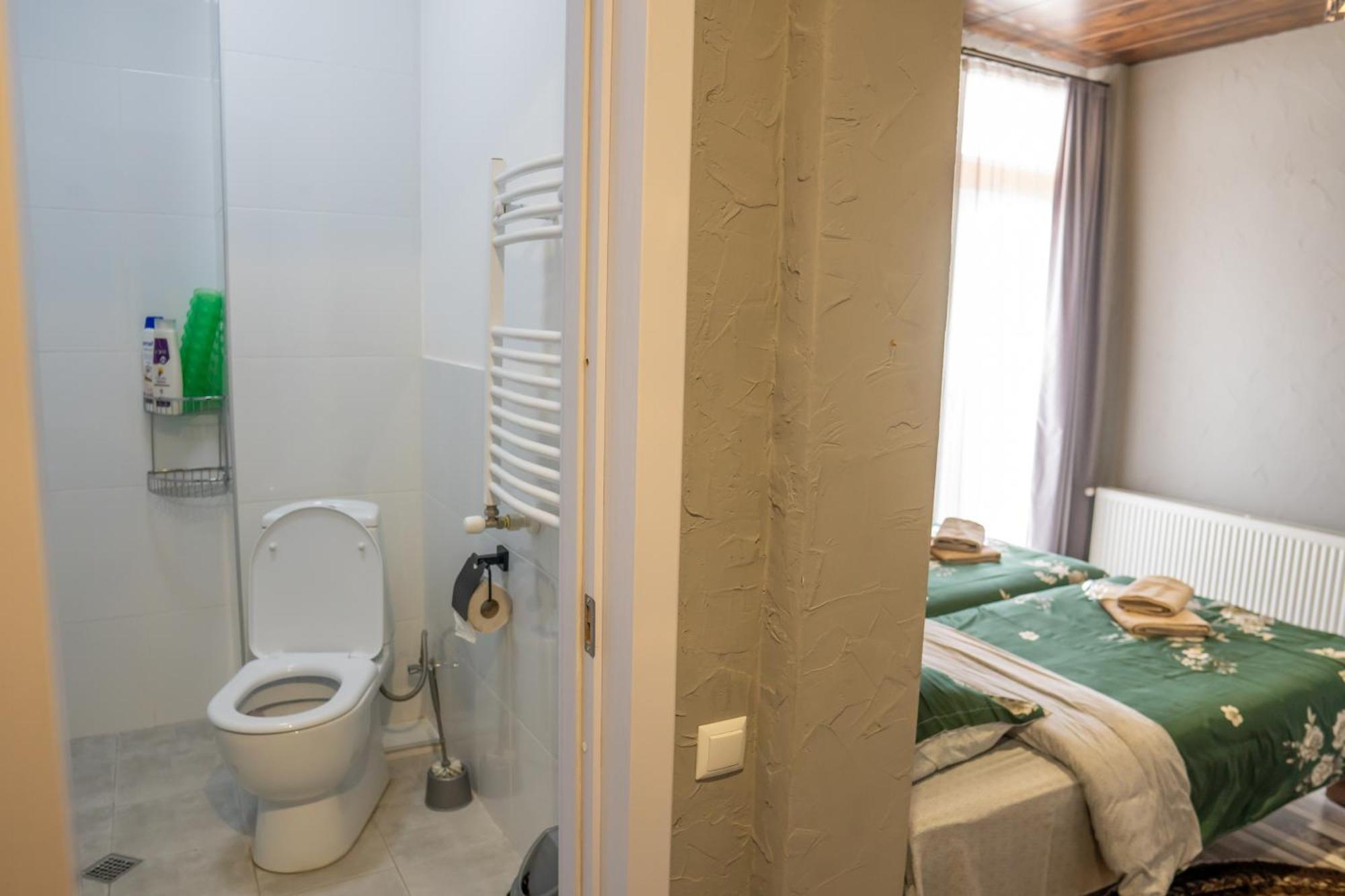 Mountain Dream House Apartman Gudauri Kültér fotó